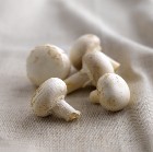 Champignon