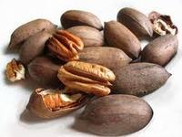pecannoten pecannoten