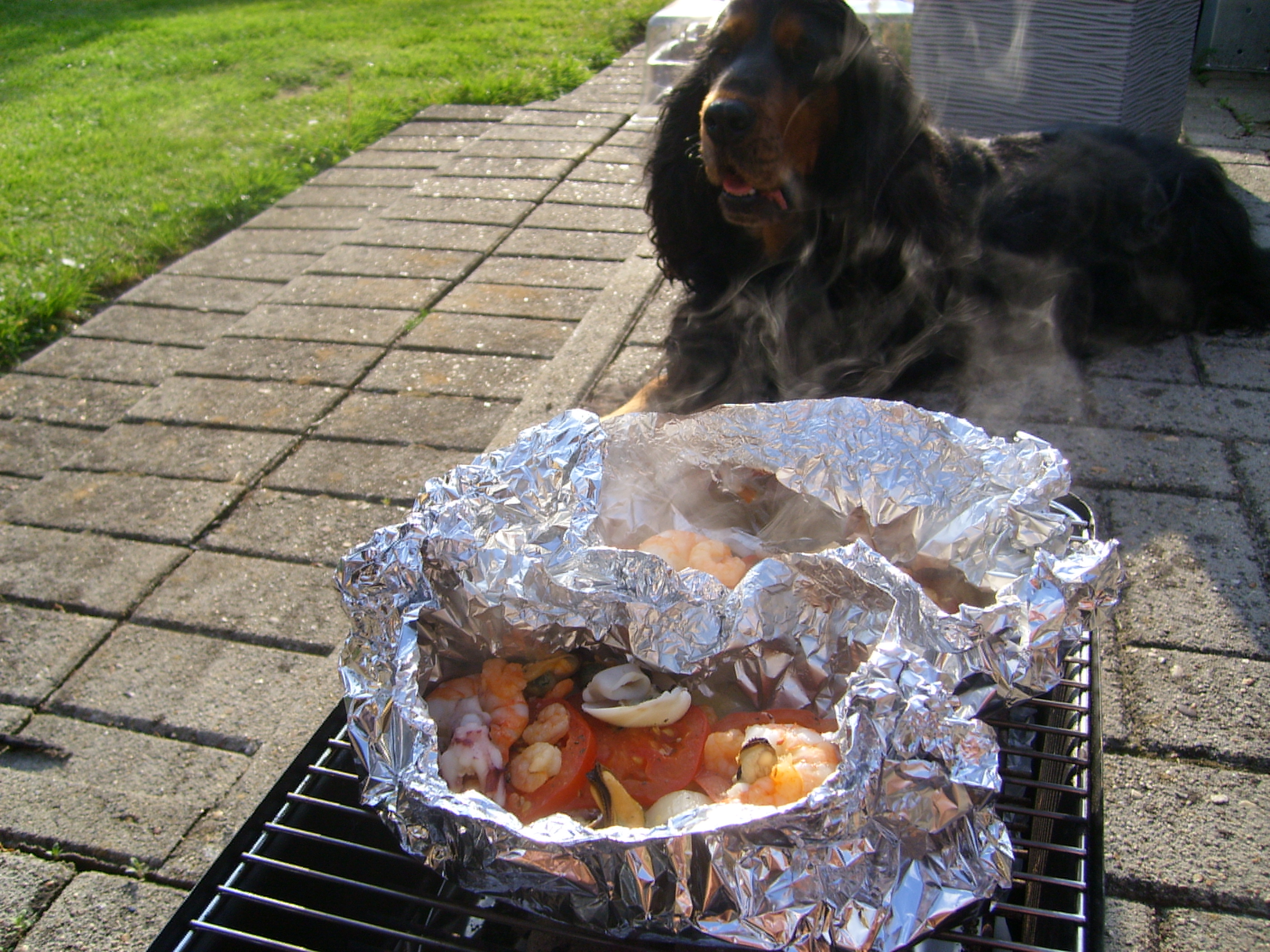 Pakketje zeevruchten op bbq