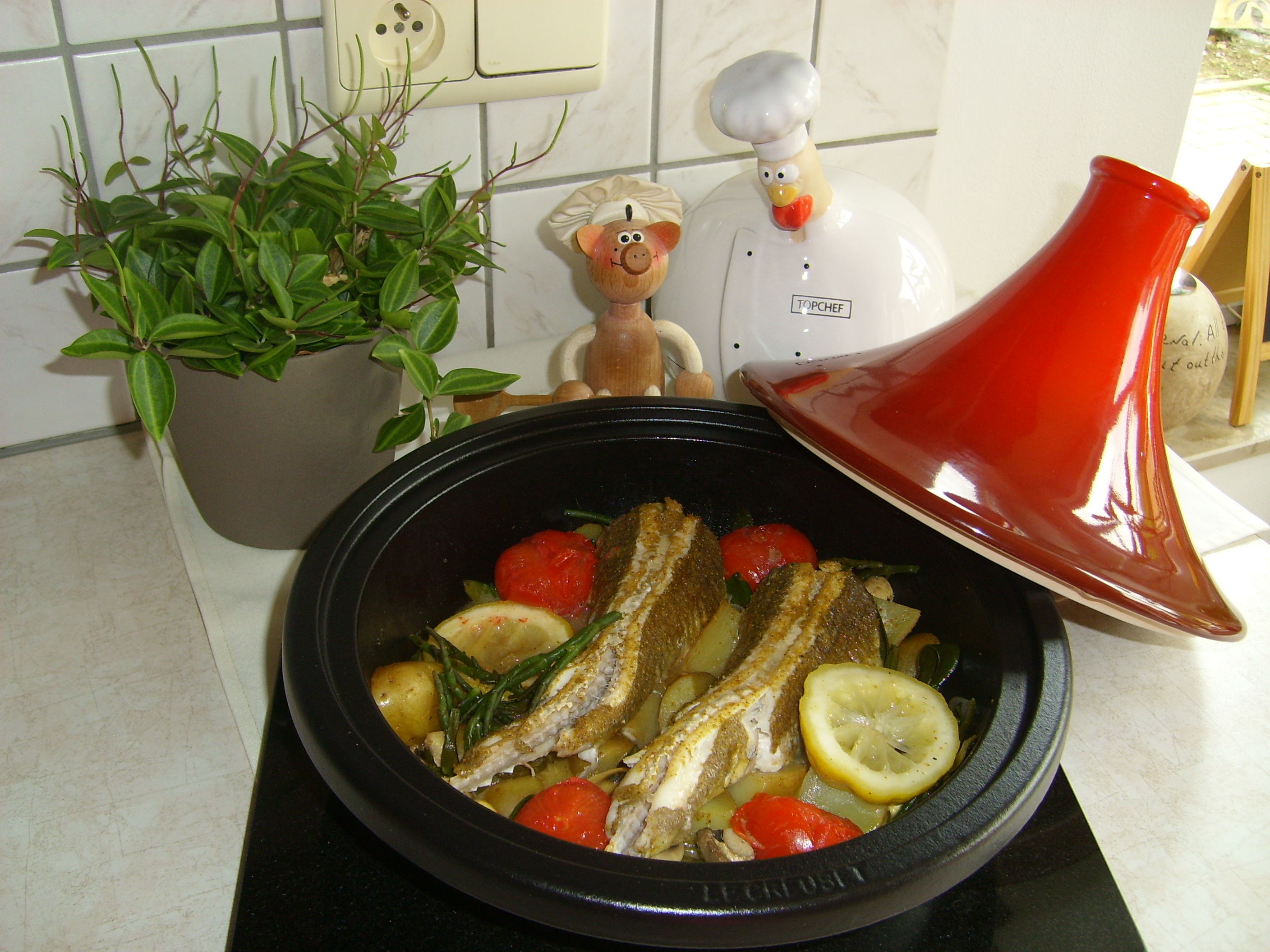 Tajine: knorhaan tussen het zeewierwoud