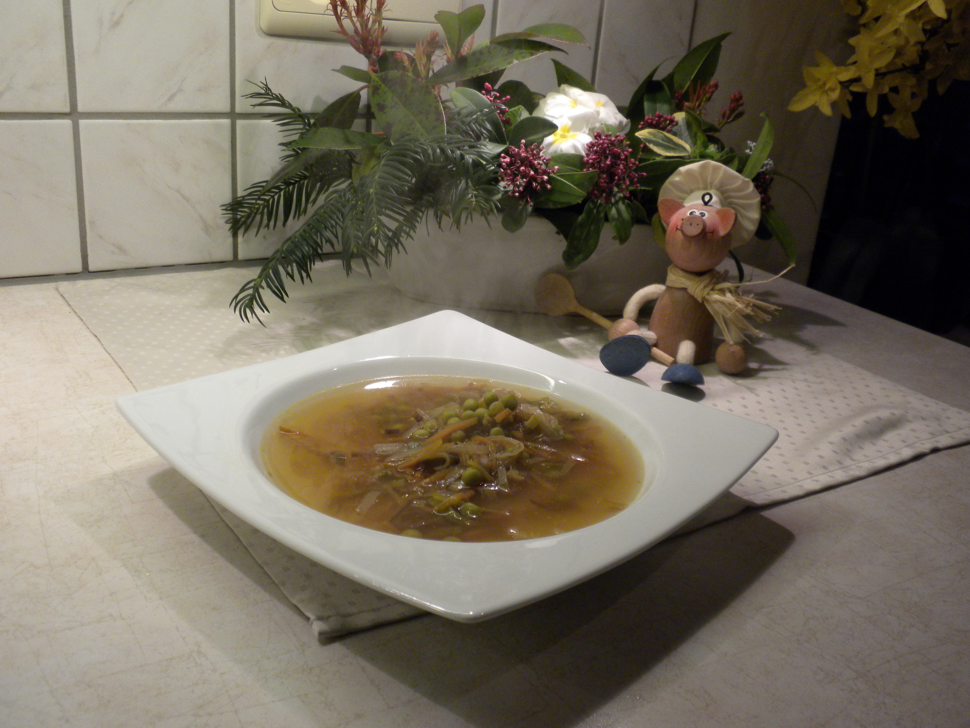 Soep : bouillon met sliertjes konijn en groenten