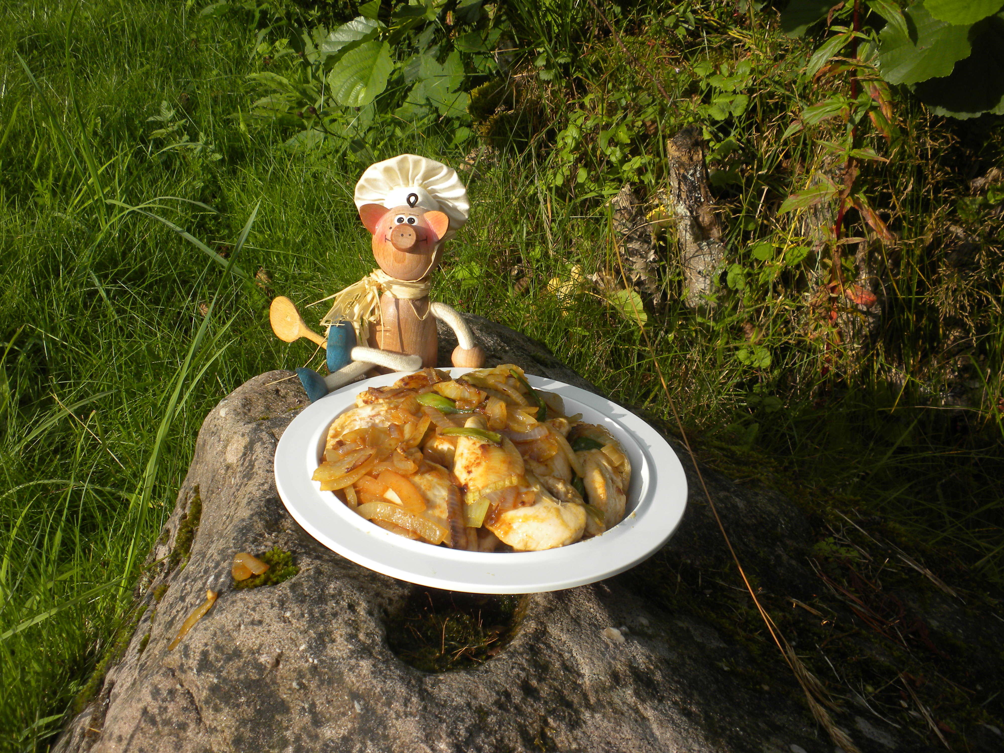 Vakantie :  kippenblokjes
