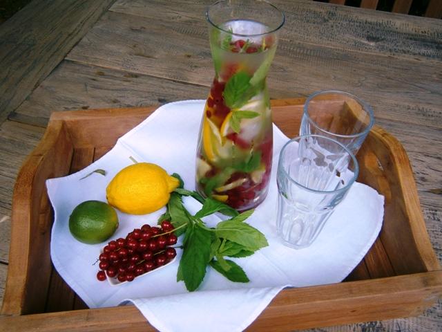 Smaakjes water met aalbes, citroen, limoen en verse munt