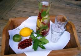 Smaakjes water met aalbes, citroen, limoen en verse munt