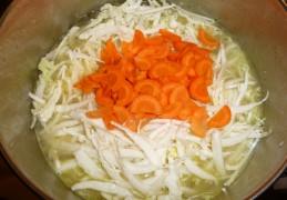 Kippen/groentesoep met Chinese kool