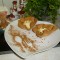 Dessert: klein maar fijn voor ons 2tjes