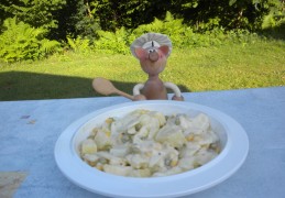 Camping aardappelsla