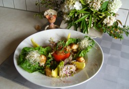 Salade van roodbaars op vel met zijn garnituren