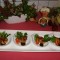 Hapje : scampi met amaretto