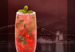 Wild Hibiscus Mojito