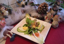 Tongscharrolletjes met scampi