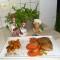 Dagschotel fijnproever presenteert: steak met gegrilde tomaatjes, ajuin en zoete aardappel
