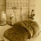 Brood: 10 granenbrood met rozijnen