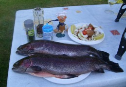 Vakantie: verse zalmforel op de BBQ