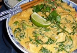 Slanke kip korma met spinazie