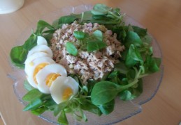 De allerlekkerste tonijnsalade van Ellen