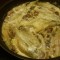 Gebakken witlof met champignons in roomsaus en peterseliepuree