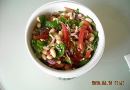 Witte bonensalade met tomaten en basilicum Insalata fagioli e pomodori