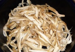 Romige oesterzwammensoep