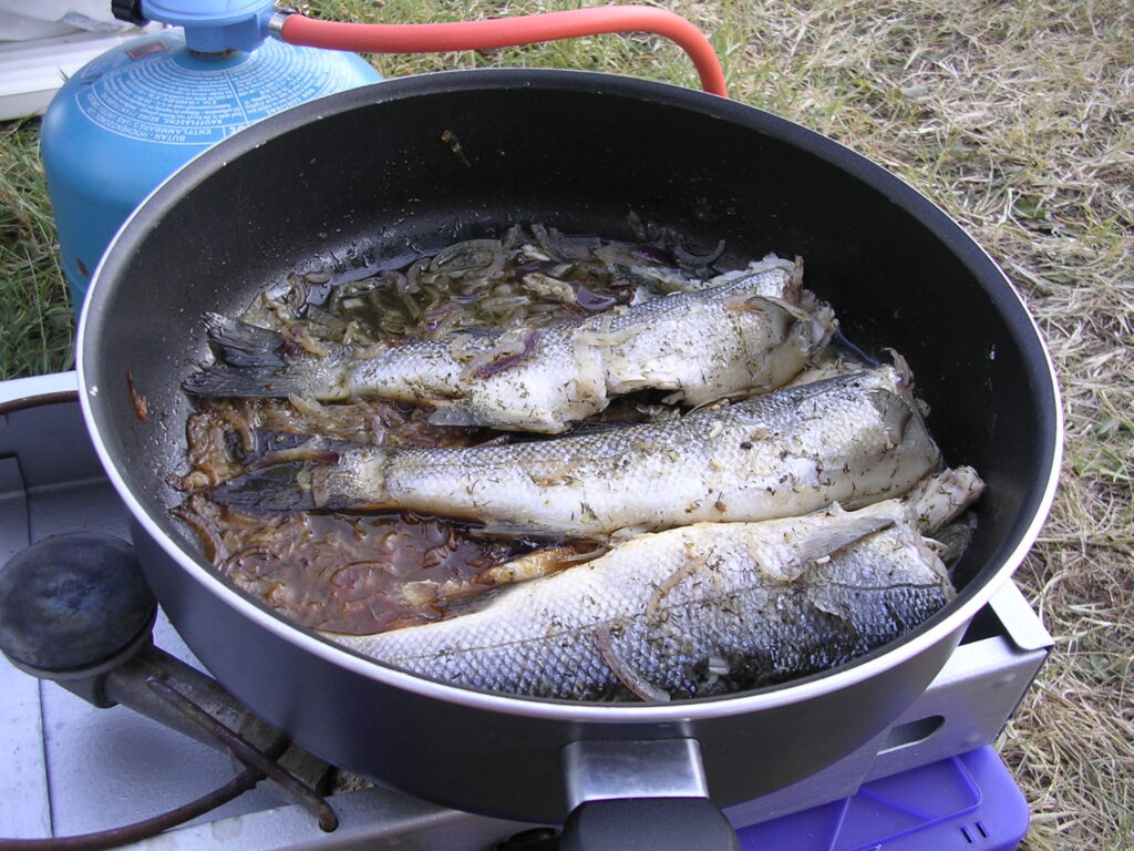 Camping