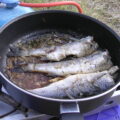 Camping