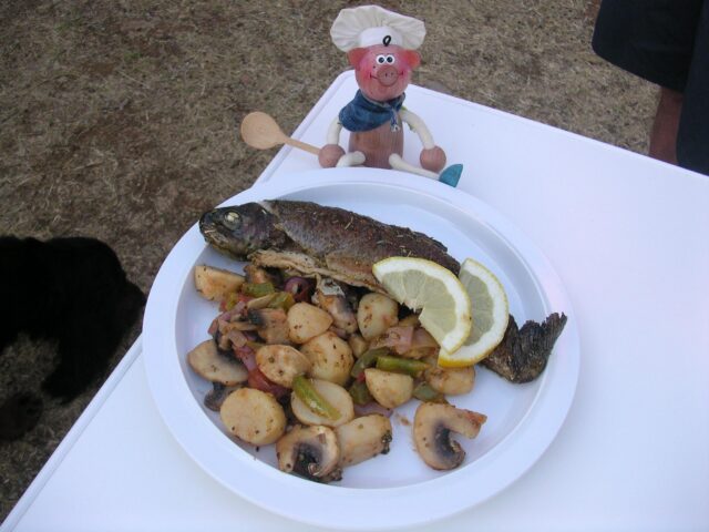 Vakantie: Forel met provencaalse kruiden