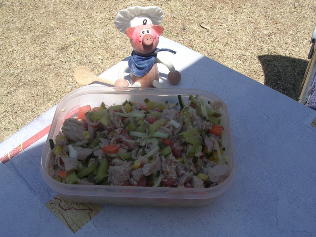 Vakantie : tonijn salade