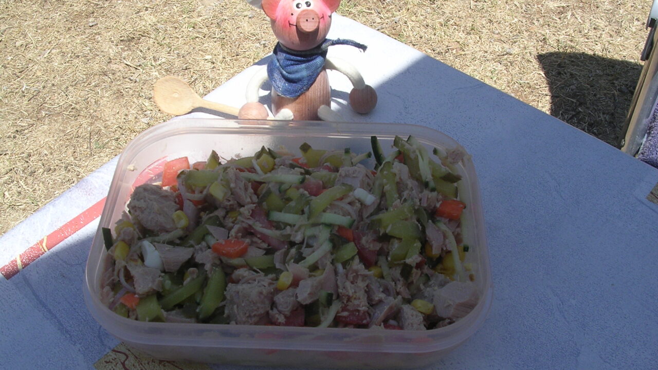 Vakantie : tonijn salade