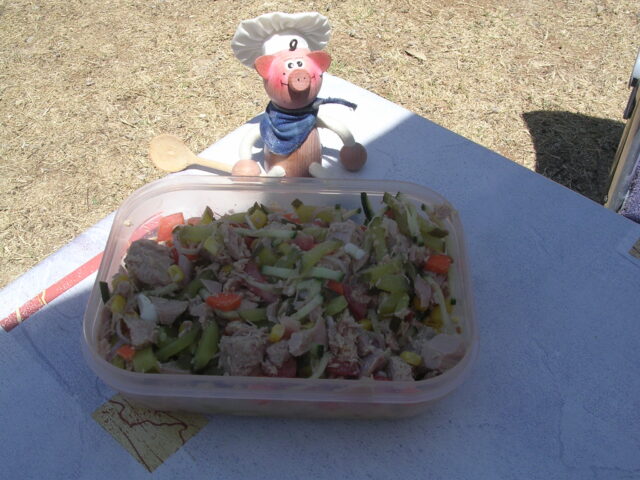 Vakantie : tonijn salade