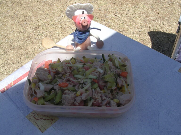 Vakantie : tonijn salade