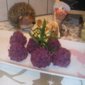 Aardappelpuree met rodekool