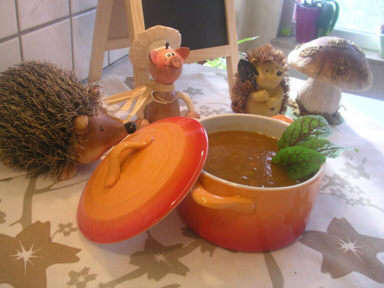 Soep : groenten tomatensoep met dragon en zuring