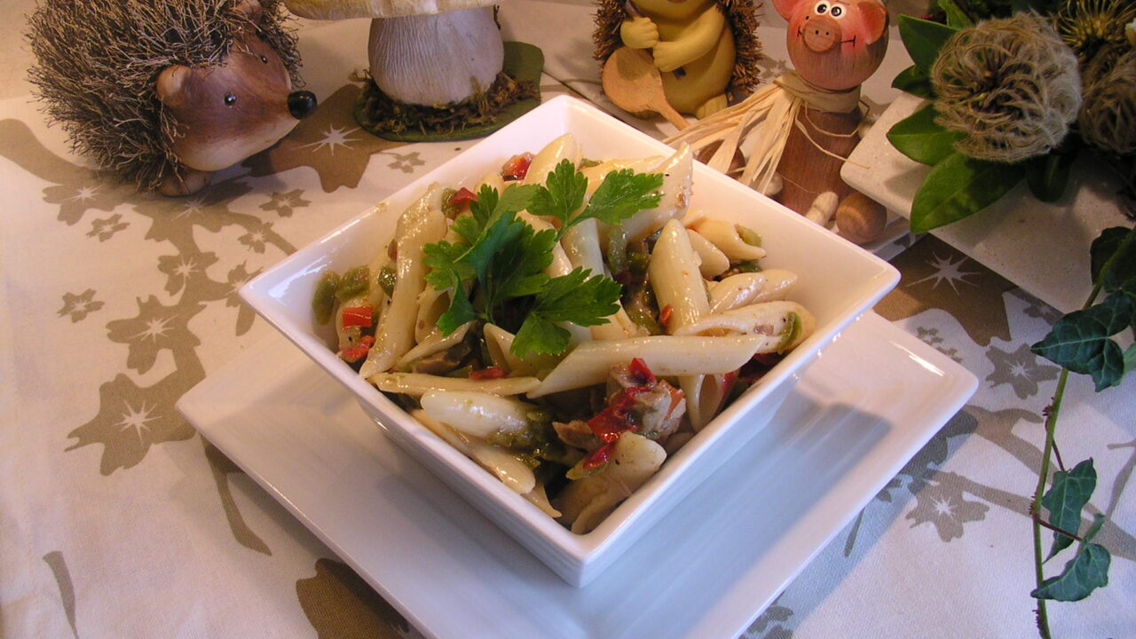 Penne goed gekruid met paprika en varkenshaasje