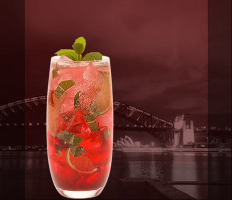 Wild Hibiscus Mojito
