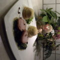 Ardeens gebraad met alles er op en eraan