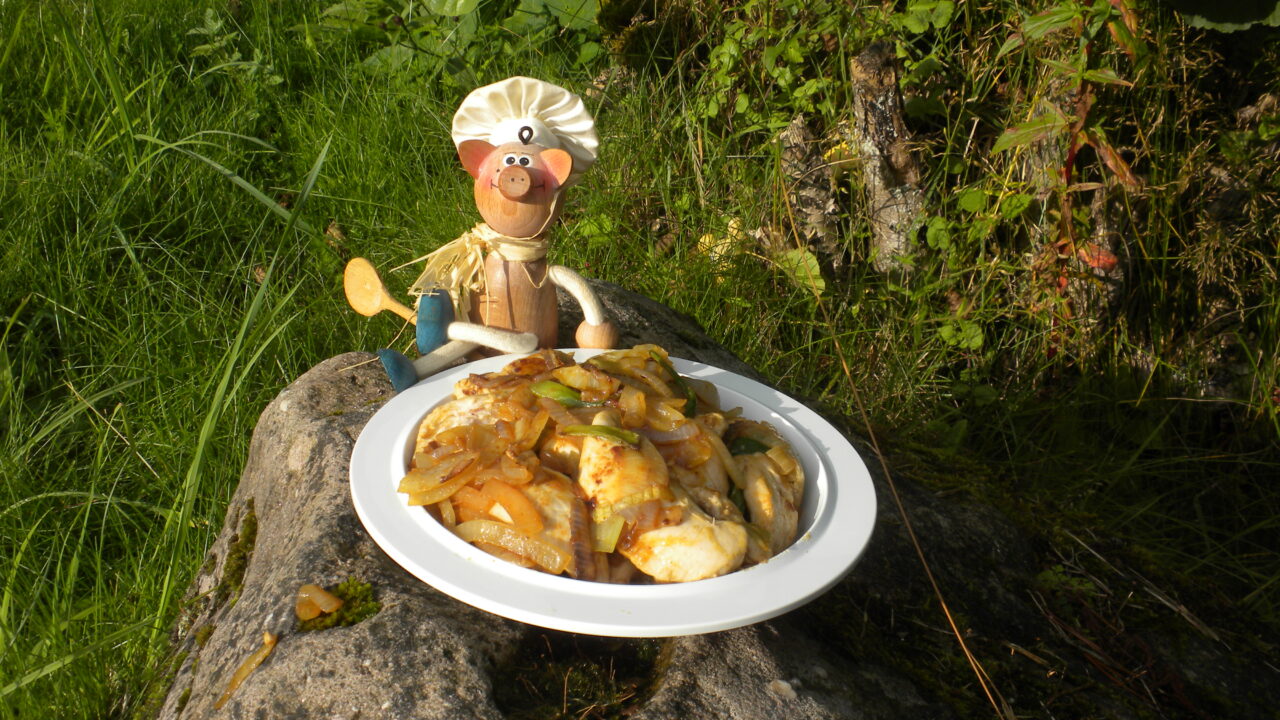 Vakantie : kippenblokjes