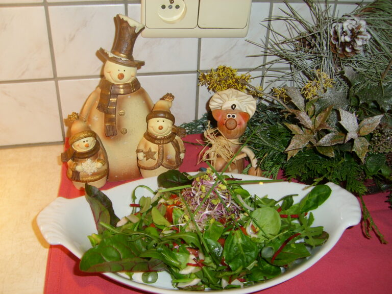 Frisse salade