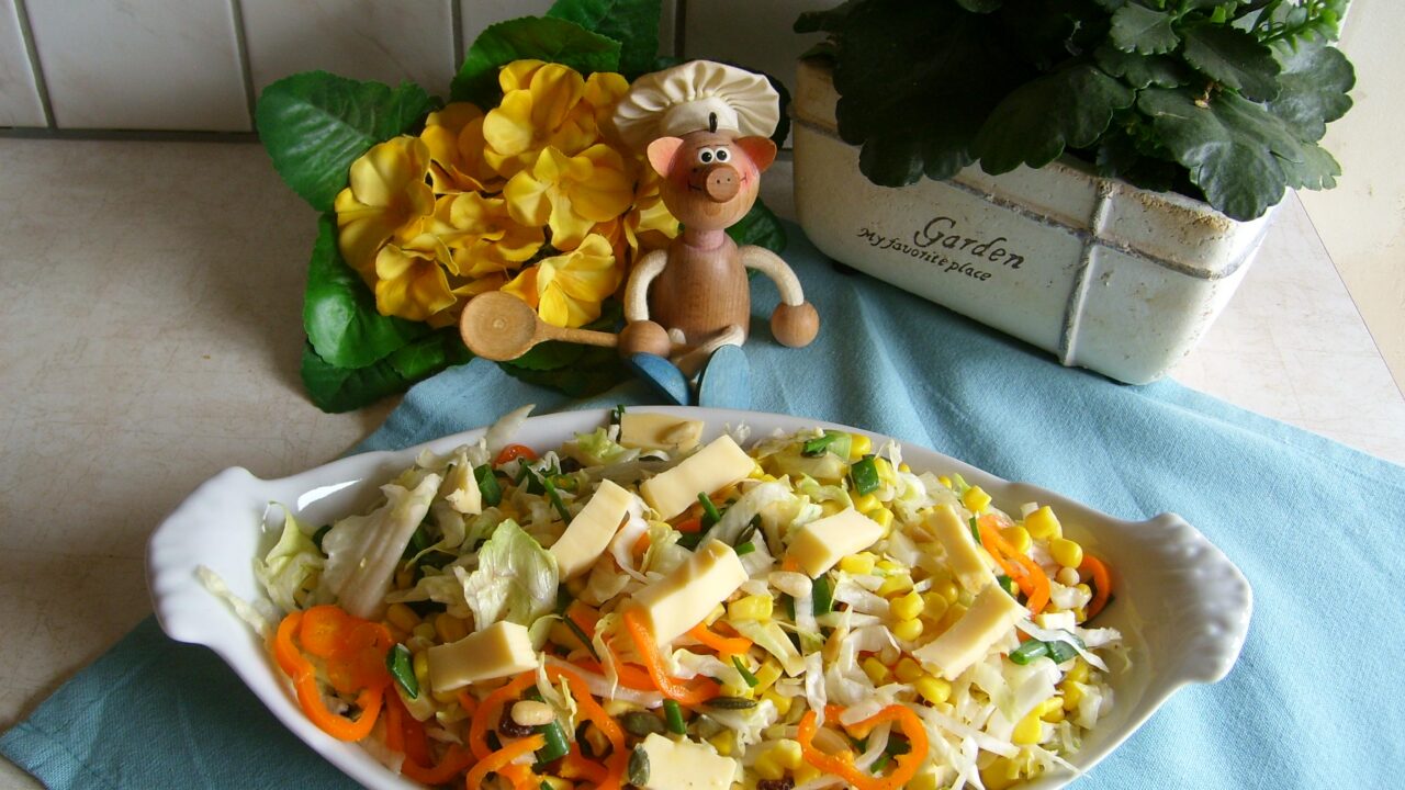 Salade: tirez votre plan