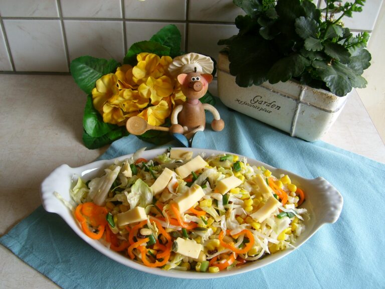 Salade: tirez votre plan