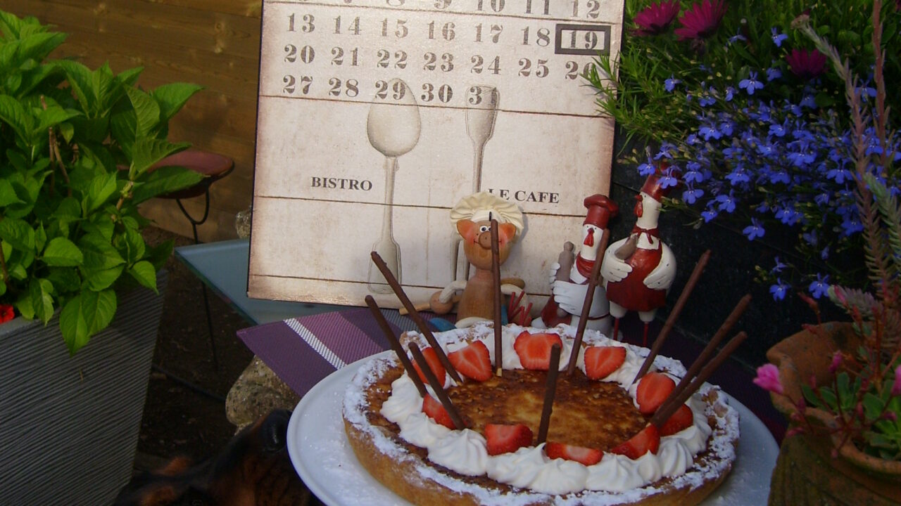 Dessert: kaastaart de nieuwsgierige snuit