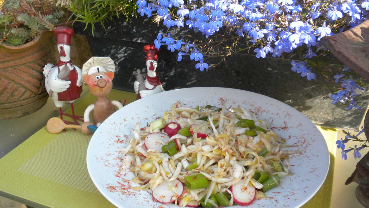 Witloofsalade voor de liefhebbers
