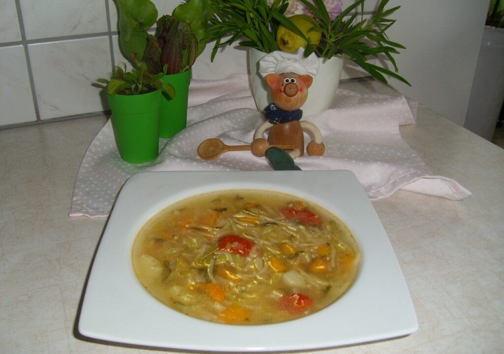 Soepje met verse groenten in een heerlijke bouillon