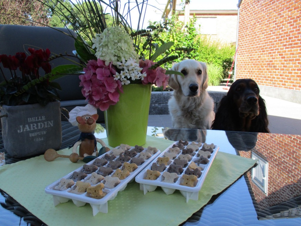 Een frisse gezonde snack voor de woefkes