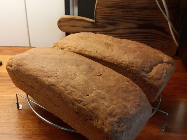 Brabants roggebrood