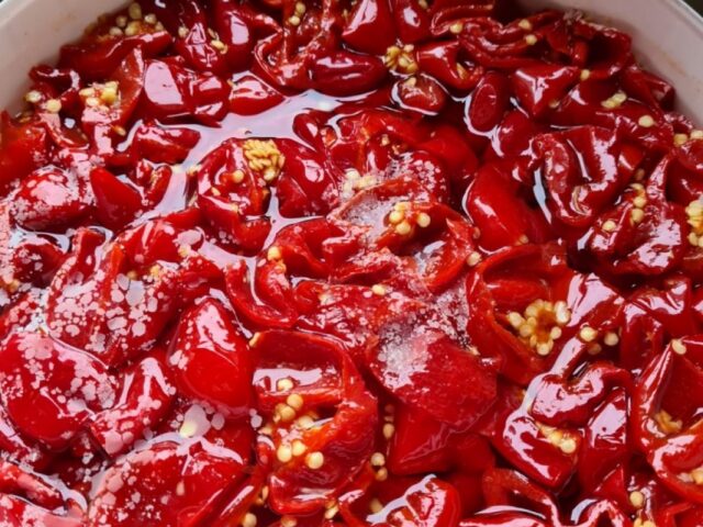 Gefermenteerde chilisaus