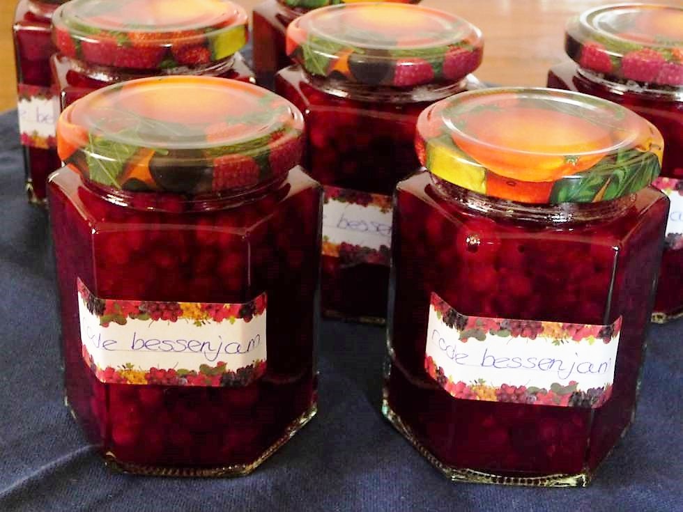 Rode bessenjam