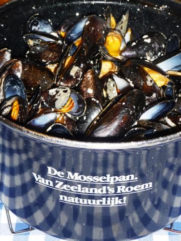Mosselen op Griekse wijze met feta en ouzo