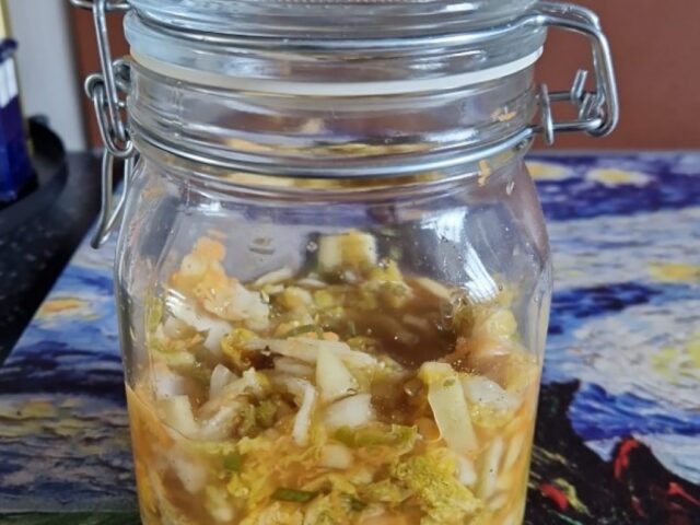 Kimchi met kool, appel en wortel