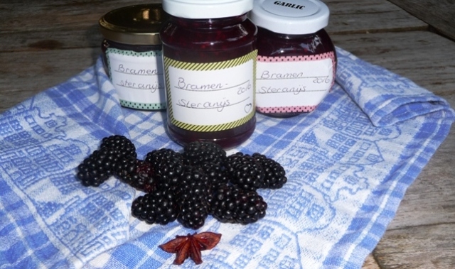 Bramenjam met steranijs