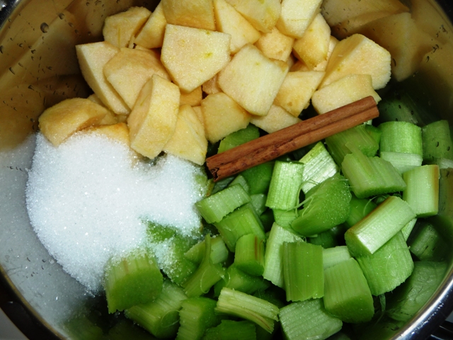 Rabarbercompote met appel en kaneel